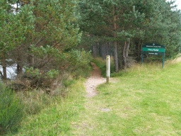 Image on trail